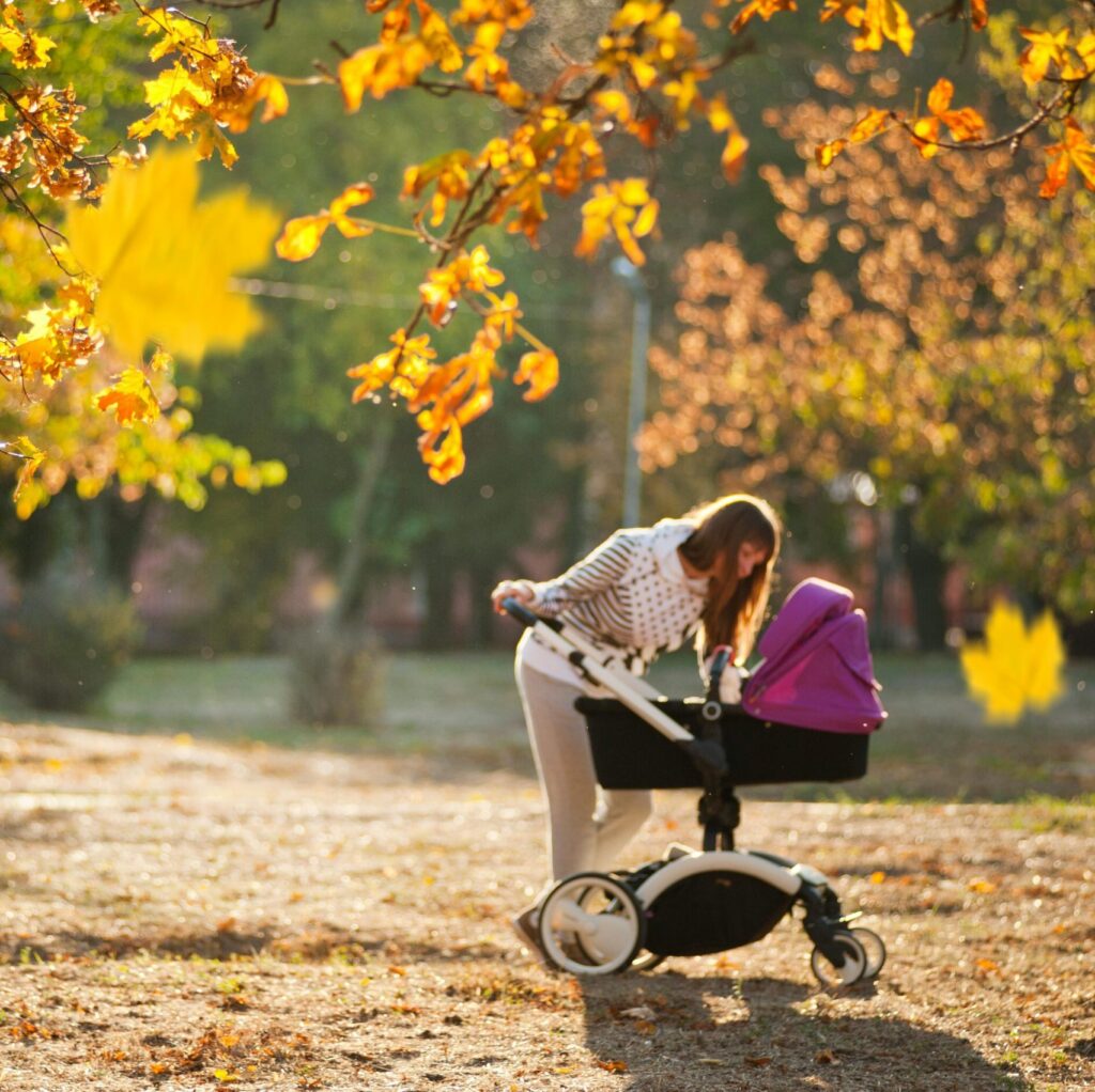 Woman In Grey Pants Holding Black And Purple Stroller